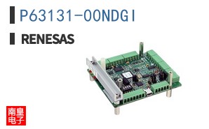 P63131-00NDGI